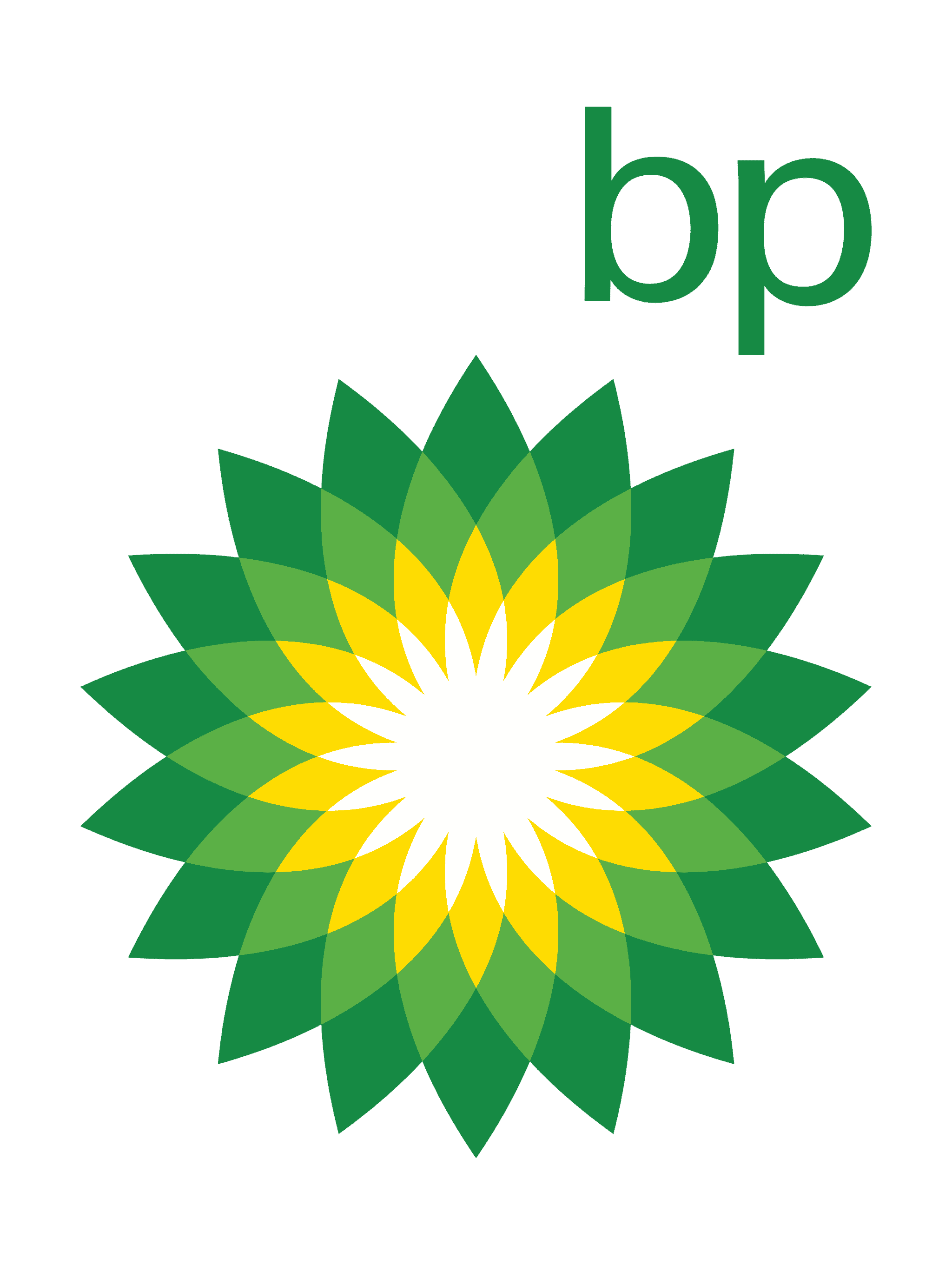 Logo 15