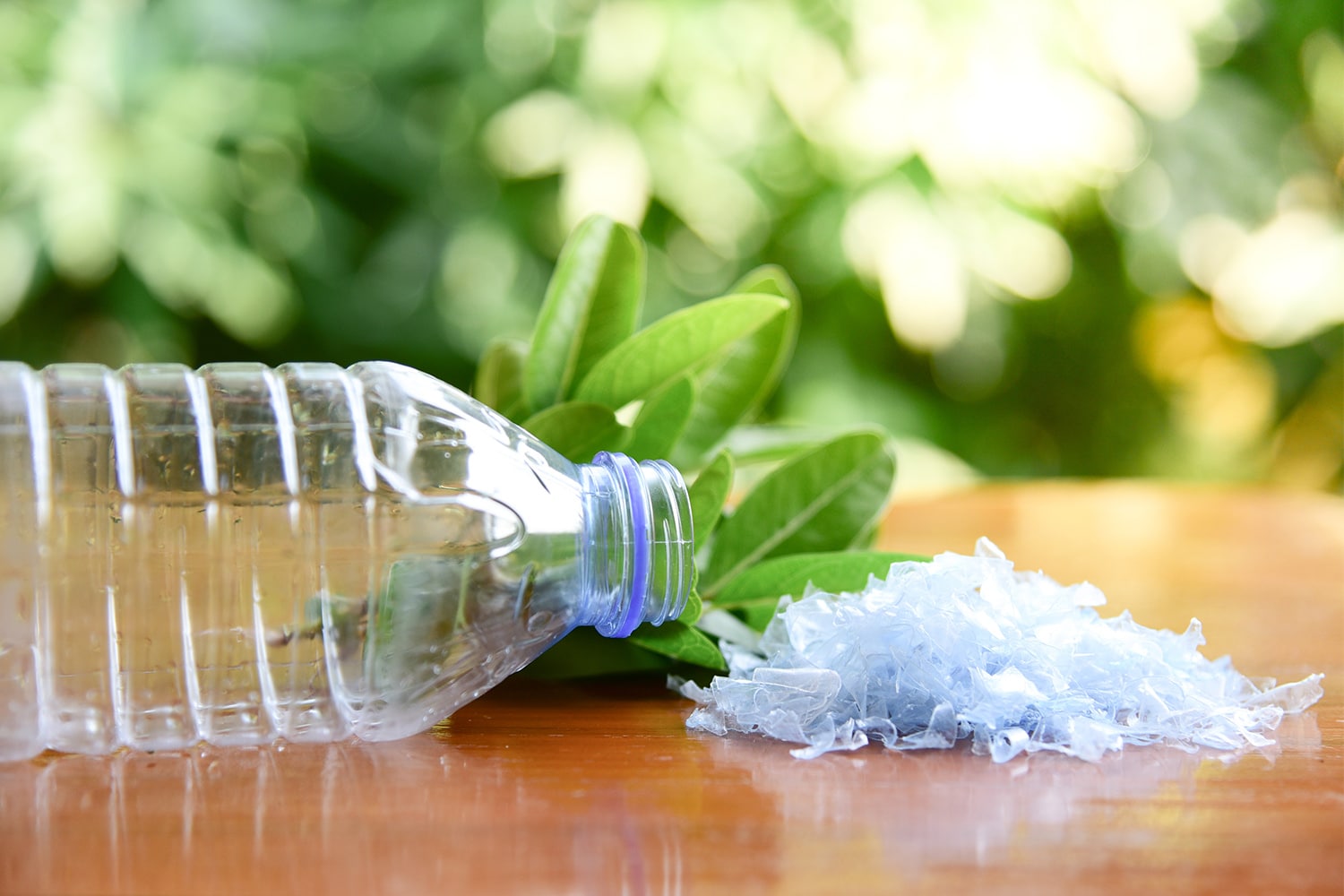 PET Recycling für Nachhaltigkeit