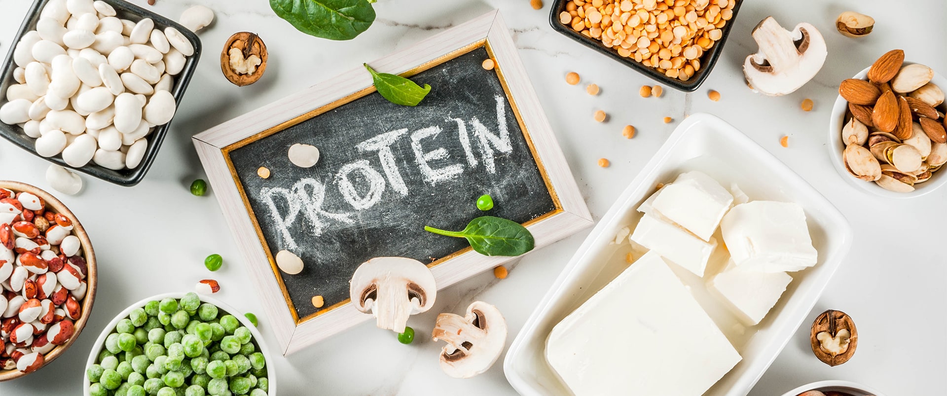 protein_1920x803px