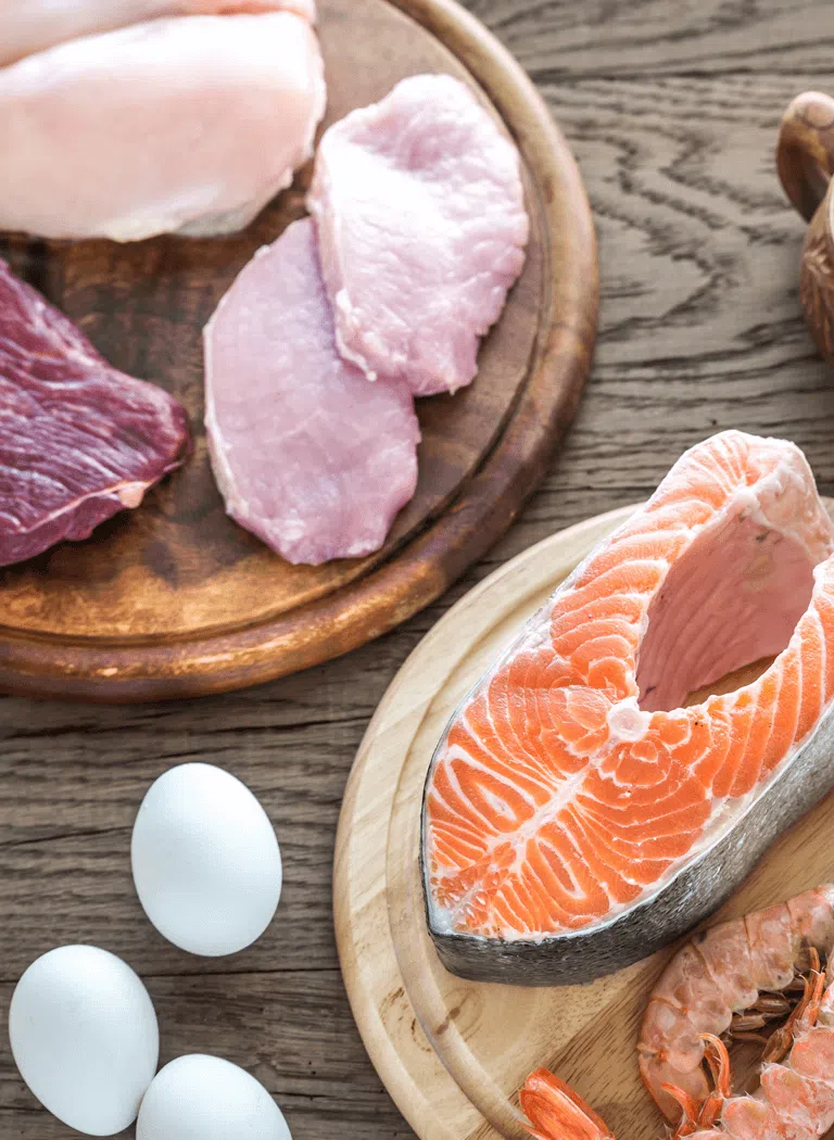 protein-raw-diet-mob